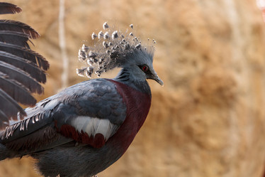 Similar image 13099580