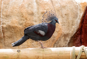 Similar image 13099581