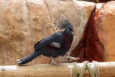 Similar image 13099582