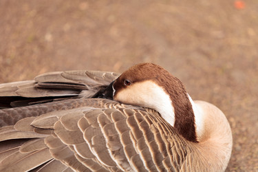 Similar image 13099600