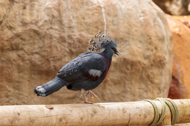 Similar image 13099601