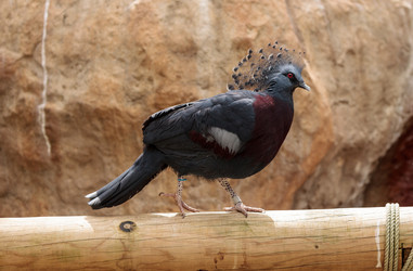 Similar image 13099619