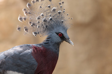 Similar image 13105562