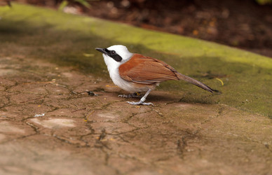 Similar image 13105608