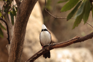 Similar image 13105623