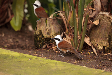 Similar image 13105624