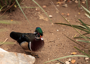 Similar image 13105664