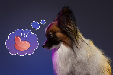 Similar image 13087752