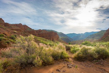 Similar image 13080275