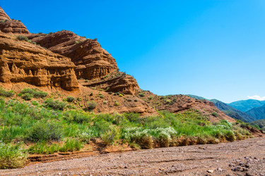 Similar image 13080291