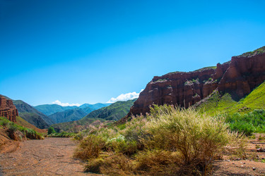 Similar image 13080292