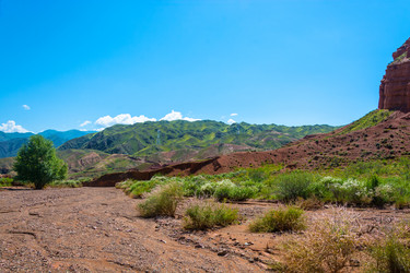 Similar image 13080295