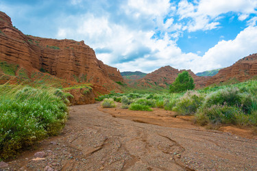 Similar image 13080296