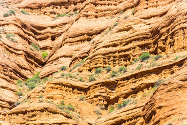 Similar image 13080324