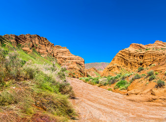 Similar image 13096892