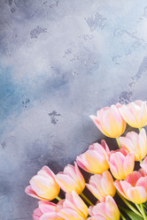 Similar image 13088692