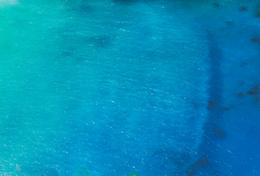 Similar image 13088632