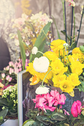 Similar image 13071759