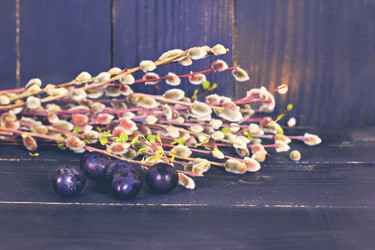 Similar image 13071778