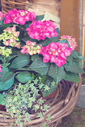 Similar image 13071779