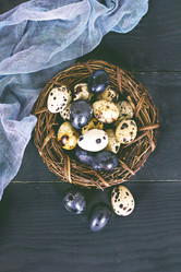 Similar image 13071818