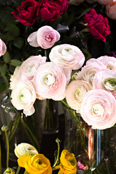 Similar image 13071838