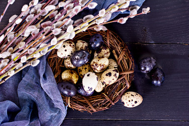 Similar image 13071857