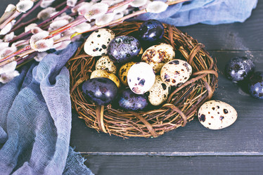 Similar image 13071859