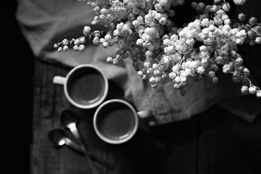 Similar image 13071958