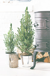 Similar image 13072019