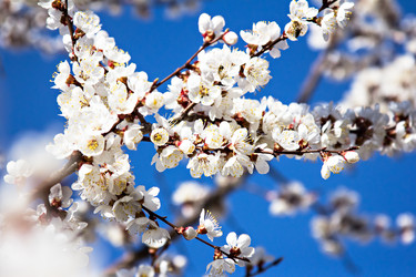 Similar image 13066489