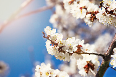 Similar image 13066490