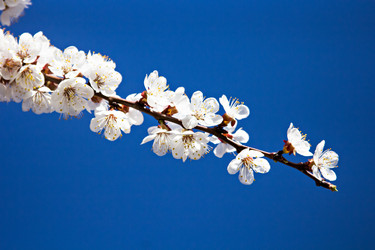 Similar image 13066509