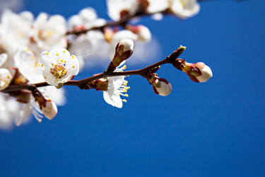 Similar image 13066529