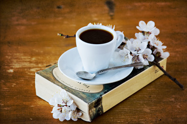 Similar image 13066530