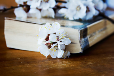 Similar image 13066549