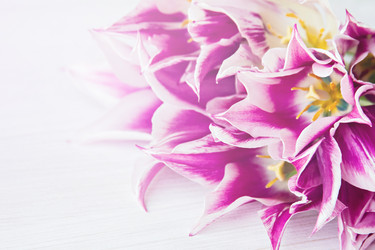 Similar image 13066550