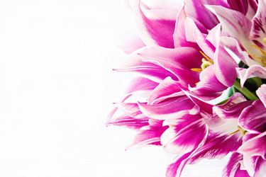 Similar image 13066569