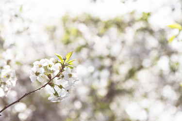 Similar image 13066570