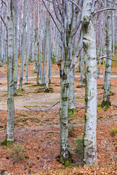 Similar image 13066589