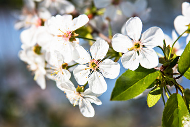 Similar image 13066609