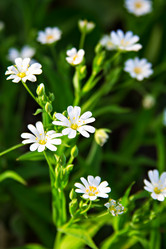 Similar image 13066610