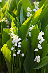 Similar image 13066650