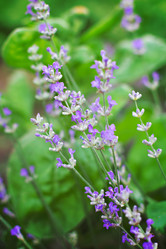 Similar image 13066807