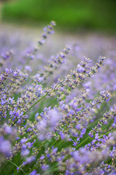 Similar image 13066847