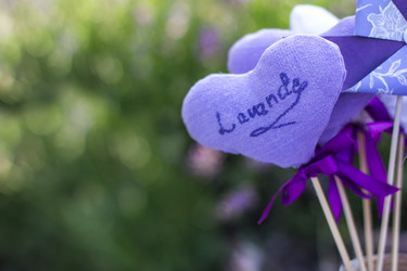 Similar image 13066889