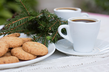 Similar image 13066969