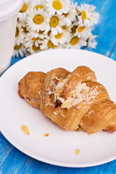 Similar image 13067029