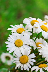 Similar image 13067048