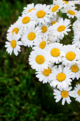 Similar image 13067049